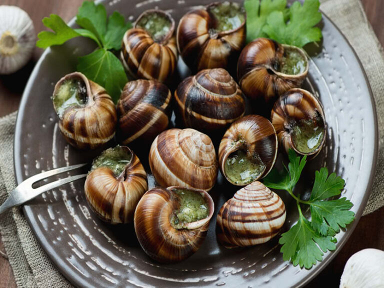 Snails With Garlic Butter In A G Pack Kezie Foods Hot Sex Picture